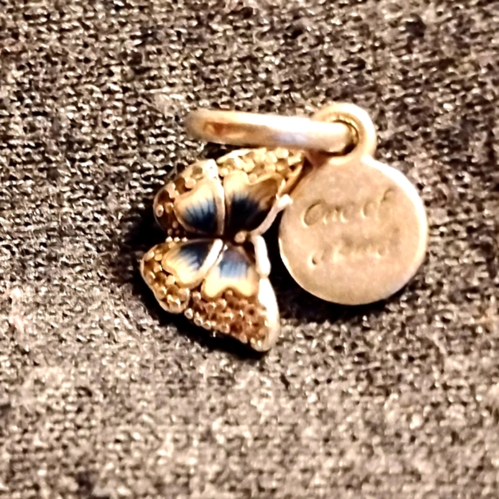 Pandora Charm